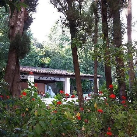 호텔 Ipsos Beach Hotel