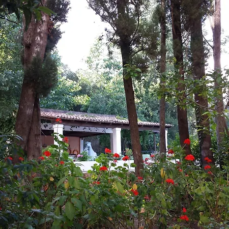 Ipsos Beach Hotel 3*